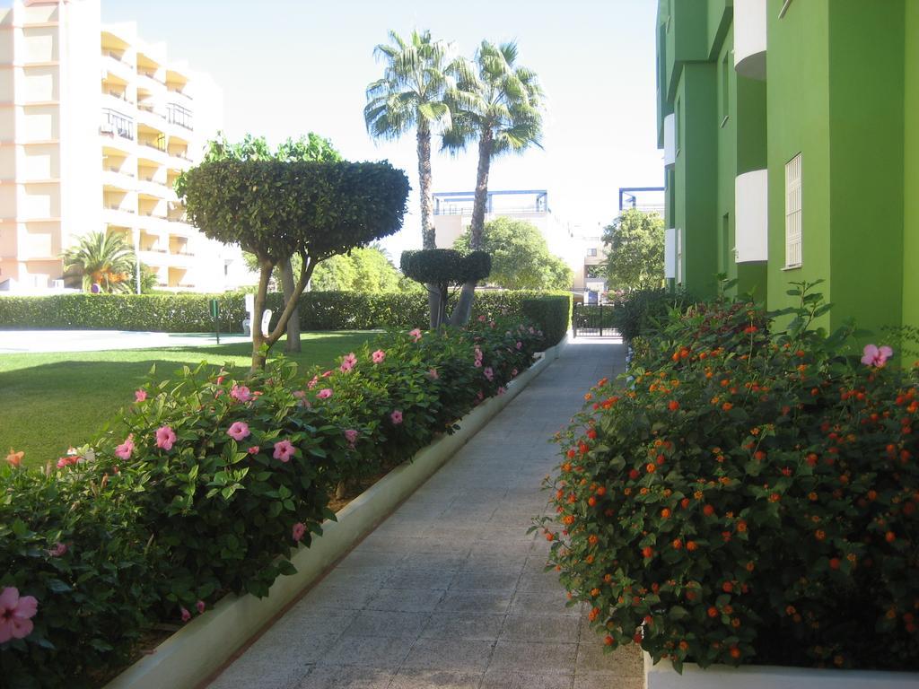 Los Juncos Apartamentos - Solo Familias 奥利瓦 外观 照片